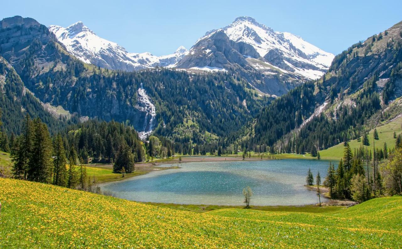 Hotel Alpenland Гстаад Екстериор снимка